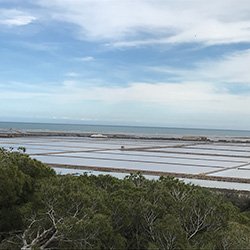 Gîtes Les moulins du Labadou - Activité Salins